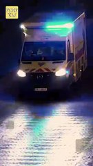 Boss, Your Executive Secretary Has Resigned - Full Episodes