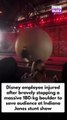 A Walt Disney World employee is recovering after being injured by a 400-lb runaway fake boulder during a live show. The incident occurred at the Indiana Jones Epic Stunt Spectacular! and was caught on video. The footage shows the staff member stepping int