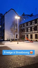 Neige : nos images de Strasbourg sous un fin manteau blanc
