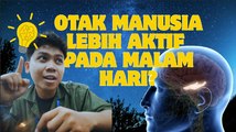 ​Benarkah Otak Manusia Lebih Aktif Saat Malam Hari? Ini Penjelasannya