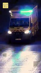 Boss, Your Executive Secretary Has Resigned