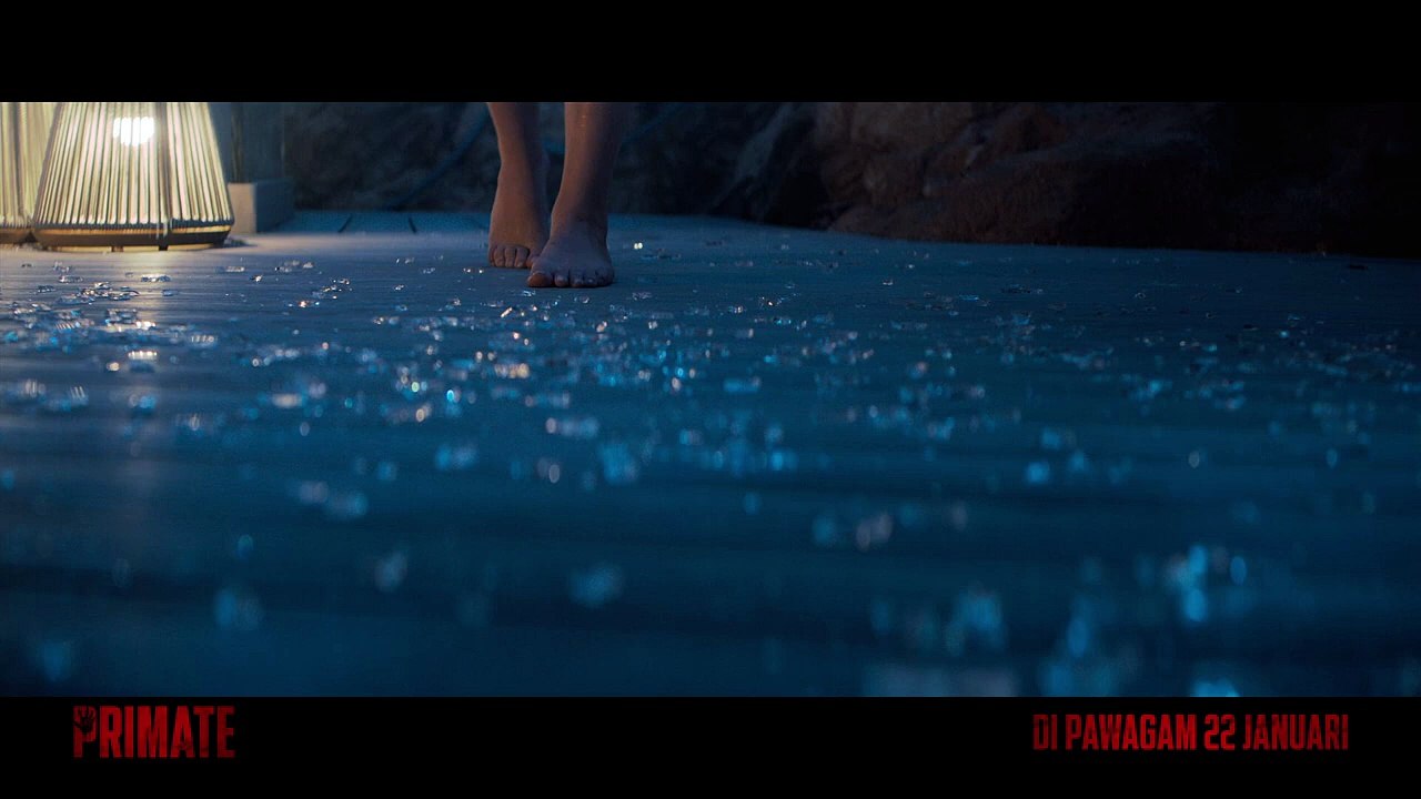 Primate | Tv Spot: Glass