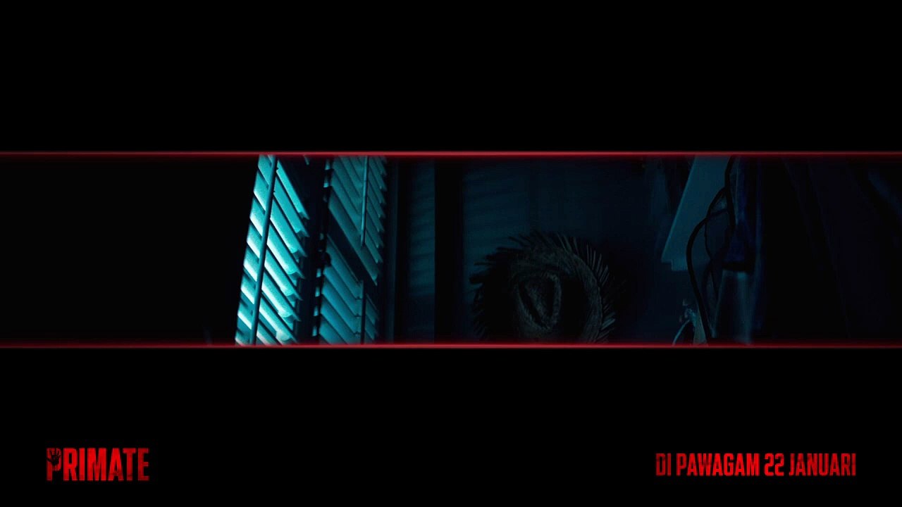Primate | Tv Spot: Closet