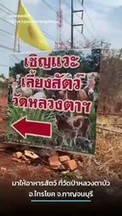 ดูสายตาน้องสิ... เที่ยววันหยุดชวนแวะให้อาหารน้อง ๆ ที่วัดวัดป่าหลวงตาบัว