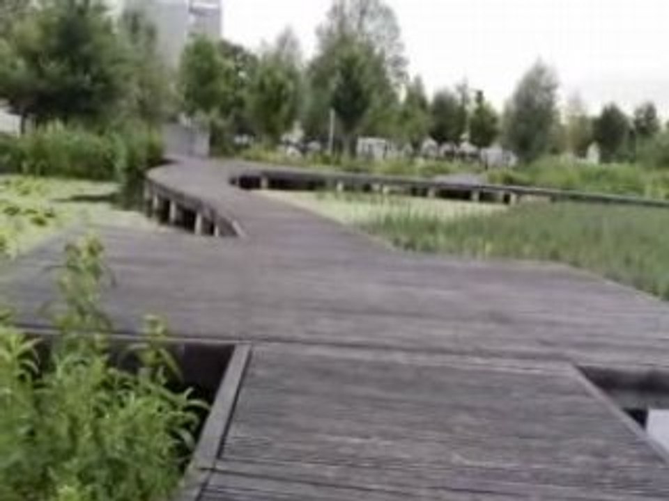 refuge de grenouilles a nanterre !