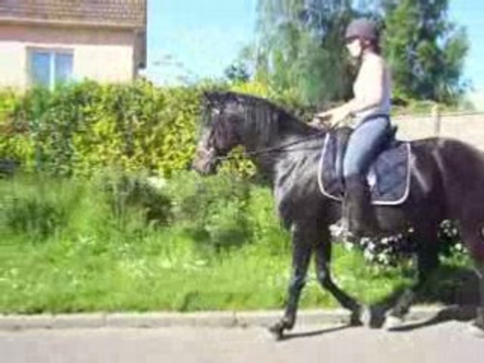 Balade avc Flout'