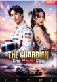 The Guardian She Never Saw Chinese Drama - English Sub