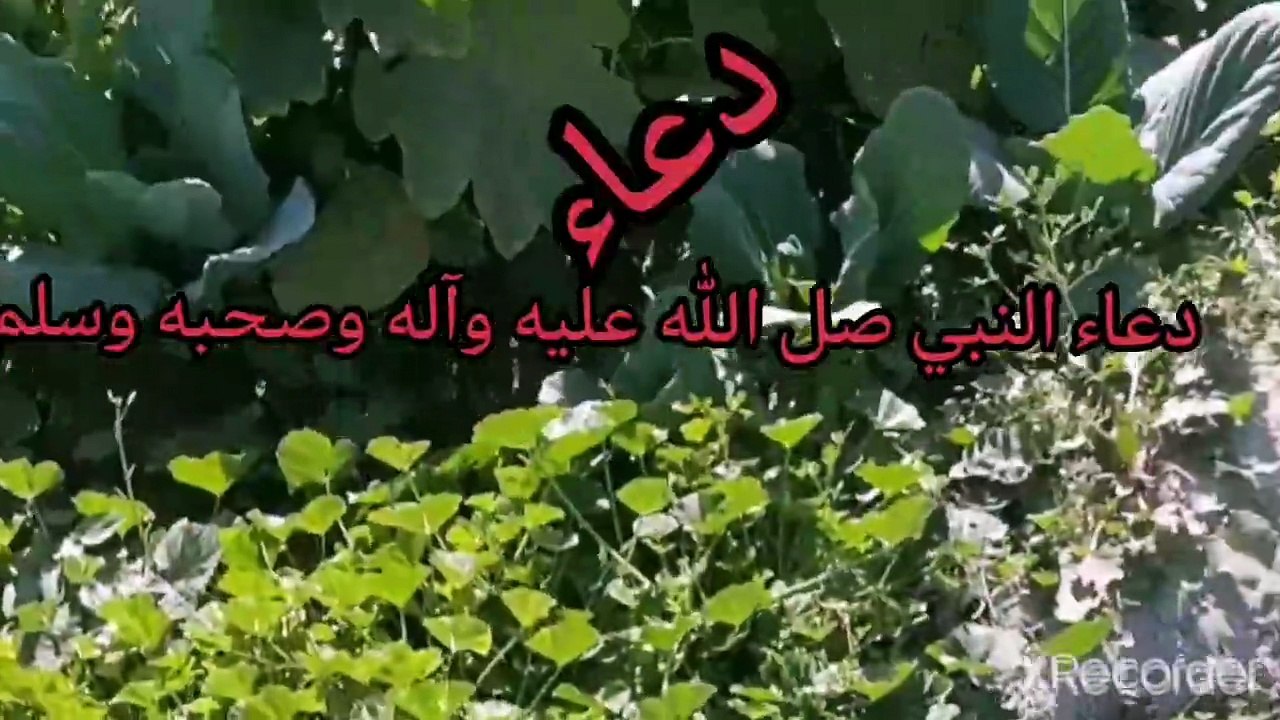 دعاء النبي صل الله عليه وآله وصحبه وسلم