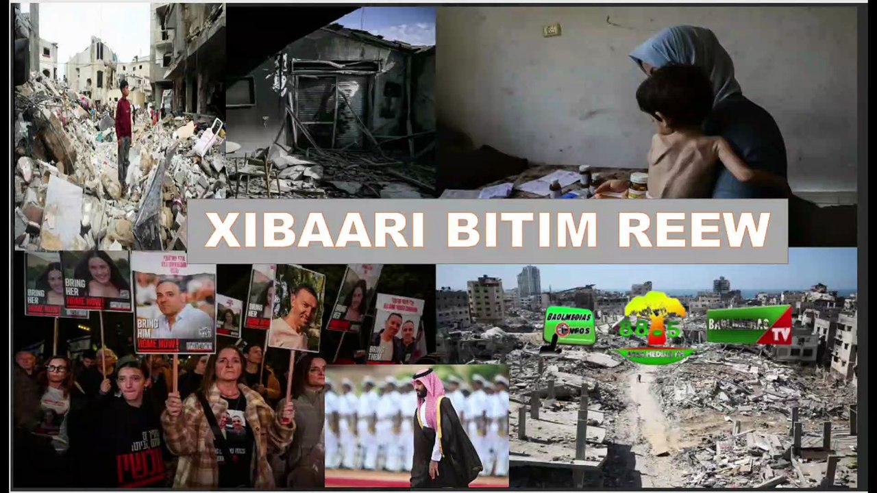 XIBAARI BITIM REEW DU 30 12 2025