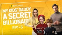 Secret Baby, Billionaire Daddy