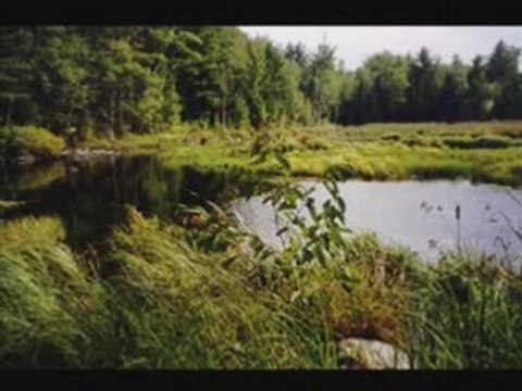 Wine,women and songVictor Silvester [COLUMBIA] 78rpm