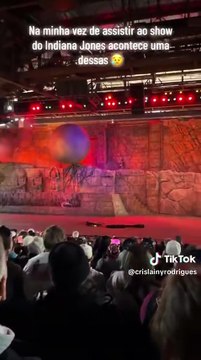 Un employé de Disney World blessé par le rocher factice d'une attraction Indiana Jones en protégeant des spectateurs