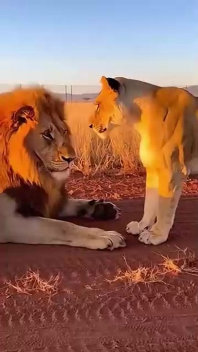 that_is_why_She’s_the_REAL_Boss(360p)