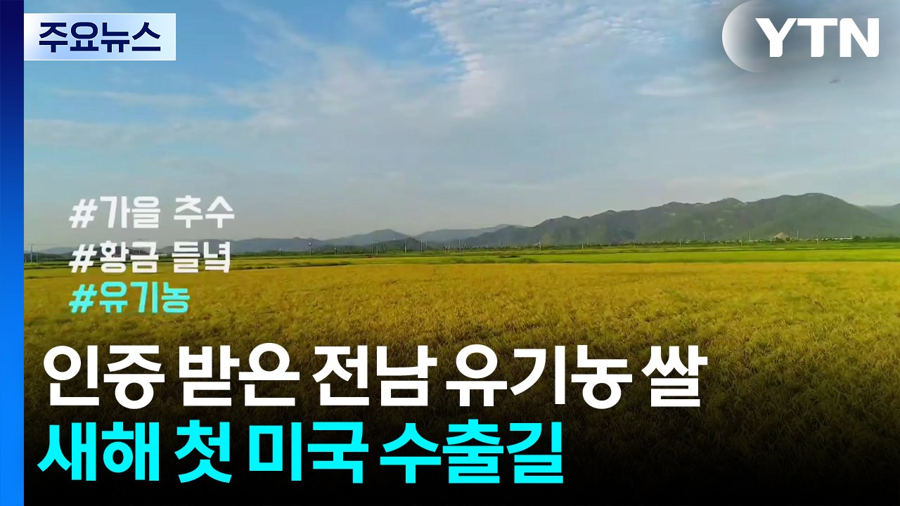 [네트] 인증 받은 전남 유기농 쌀...새해 첫 미국 수출길 / YTN