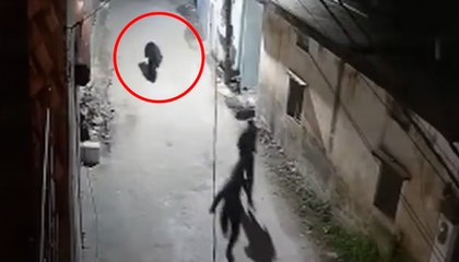 Caught on Cam: Bear in Rishikesh Chases Youth on New Year | VIRAL Video