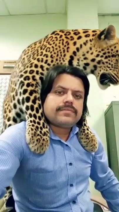 Leopard Leap #trending