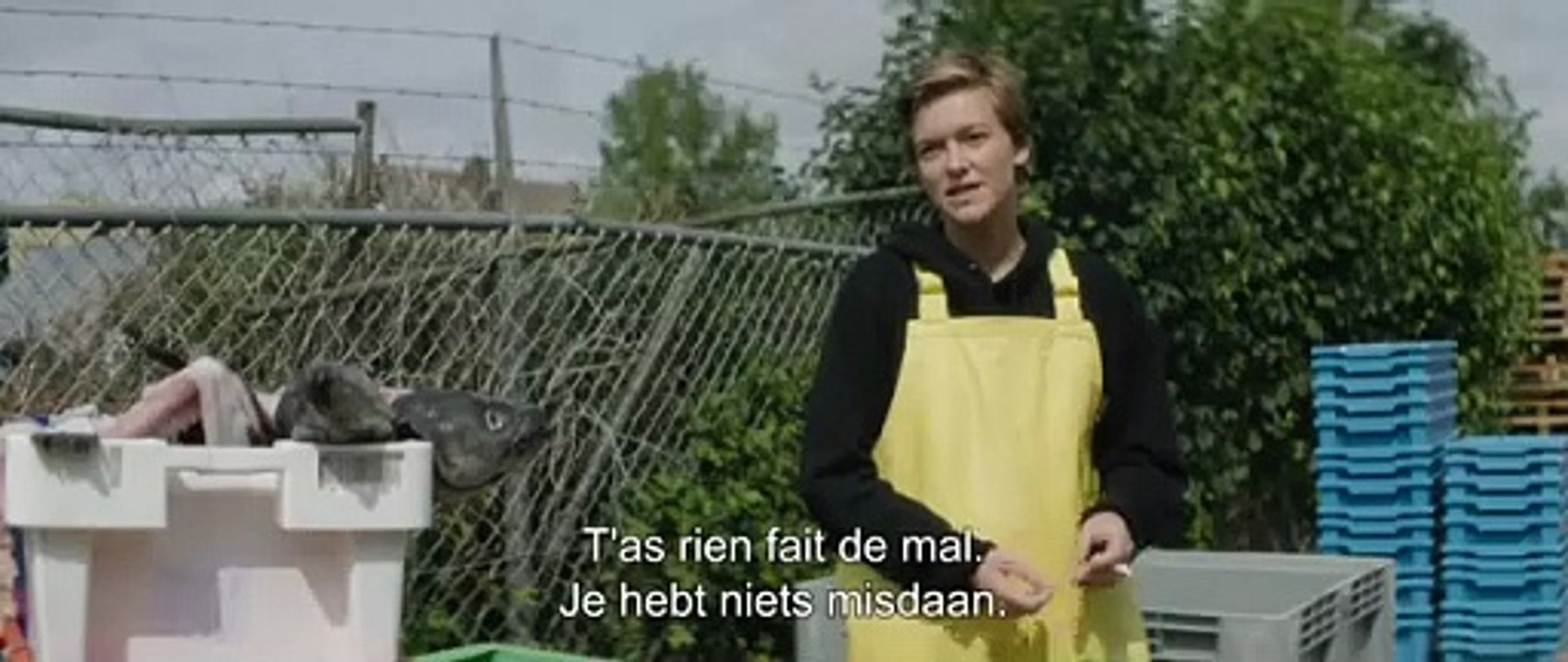 Muidhond: Trailer HD VO st FR/NL