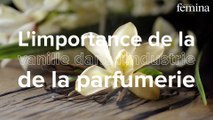 La vanille fait son grand retour en parfumerie : 10 parfums pour la redécouvrir autrement