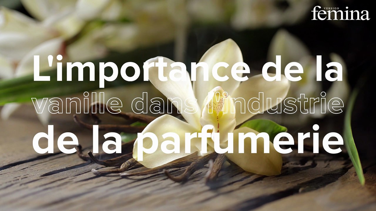 La vanille fait son grand retour en parfumerie : 10 parfums pour la redécouvrir autrement