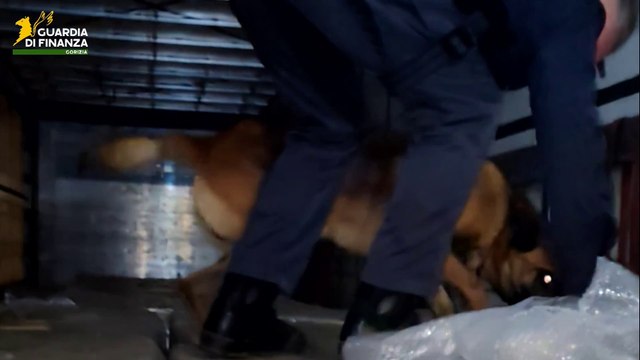 Dalla Croazia a Gorizia: intercettato camion con 110 kg di cocaina
