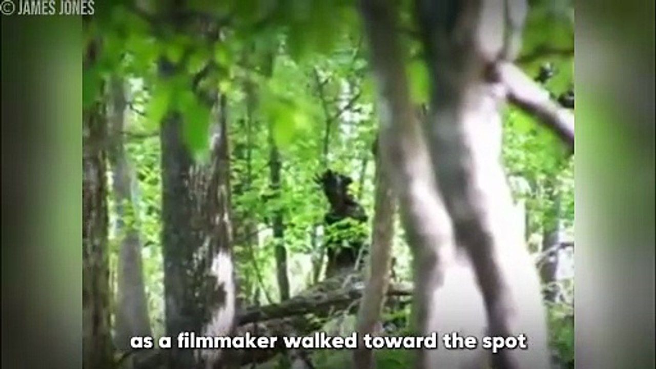 30 Chilling Camping Encounters You Won’t Believe Were Filmed