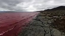 I found a lake made of BLOOD