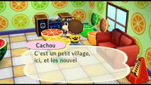 Animal Crossing: Let's Go to the City online multiplayer - wii