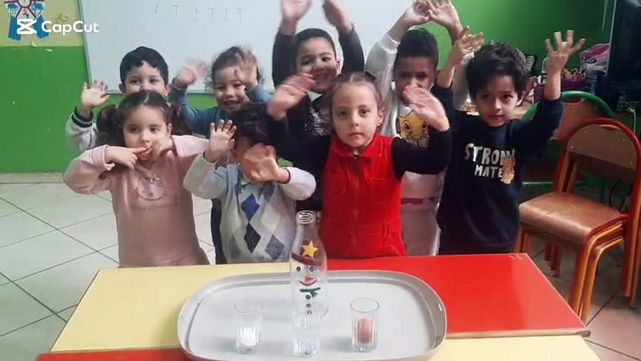 video optimal education