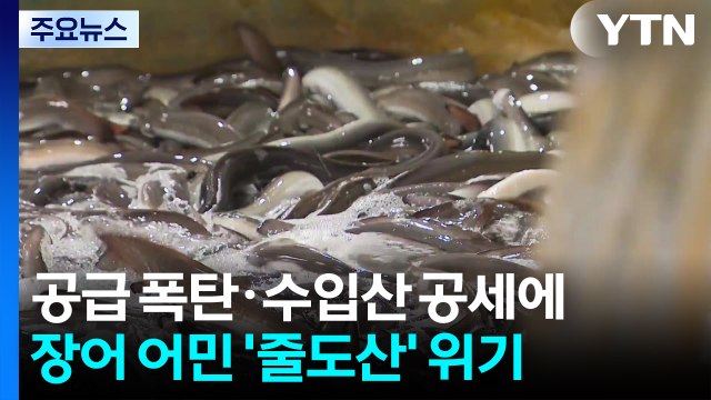 공급 폭탄에 수입산 공세까지...장어 어민 '줄도산' 위기 / YTN