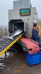 Cute Mexica Plush Dancing Cactus Electric Plush Toy 🧸82