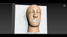 Flame: 3DS MAX Practice Polygon Modeling Head Model Video #89 (01-02-2026)