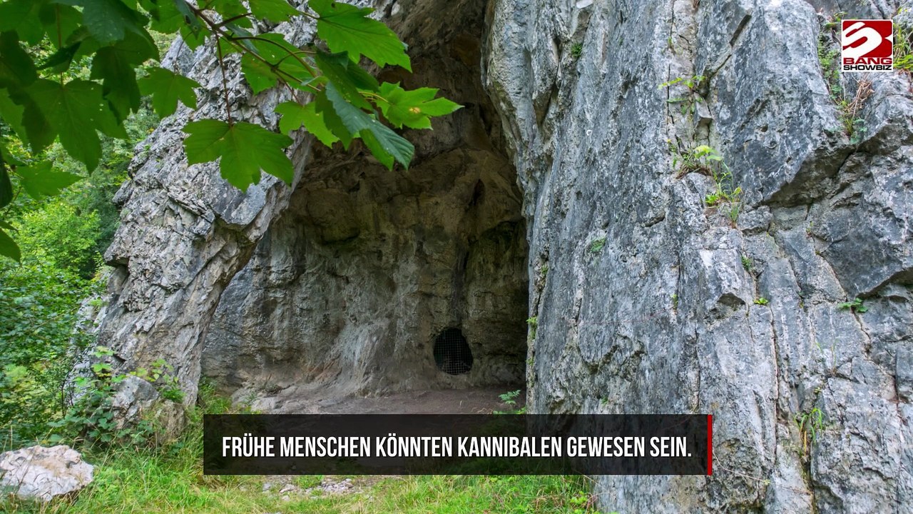 Menschliche Vorfahren waren möglicherweise Kannibalen