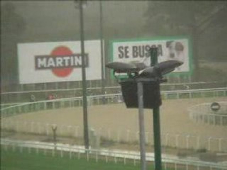 2008 (143) Premio CAJA MADRID (Categoría C) (DINK)