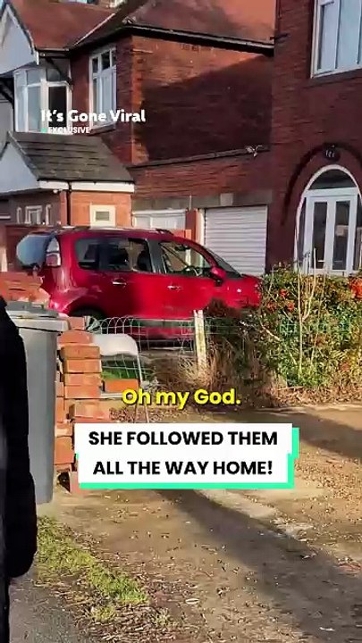 Karen Gets Revenge On Gen Z Neighbors 😡