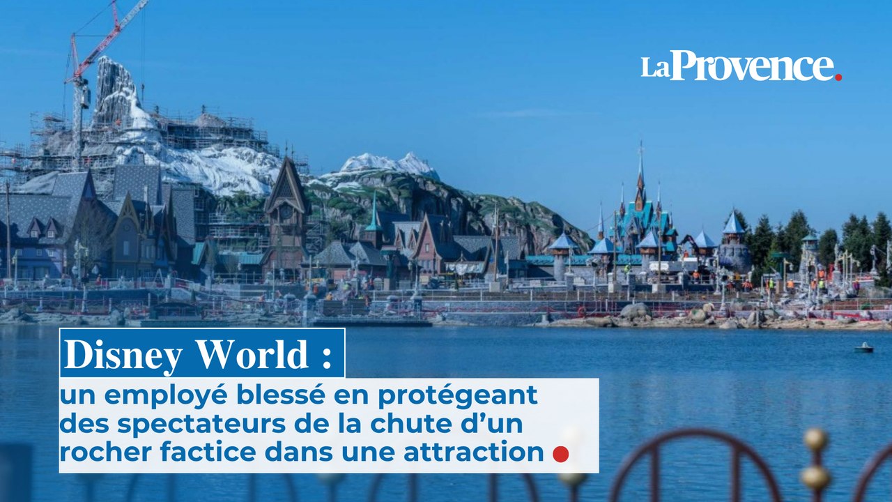 Disney World :  un employé blessé en protégeant  des spectateurs de la chute d’un rocher factice dans une attraction
