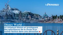 Disney World :  un employé blessé en protégeant  des spectateurs de la chute d’un rocher factice dans une attraction