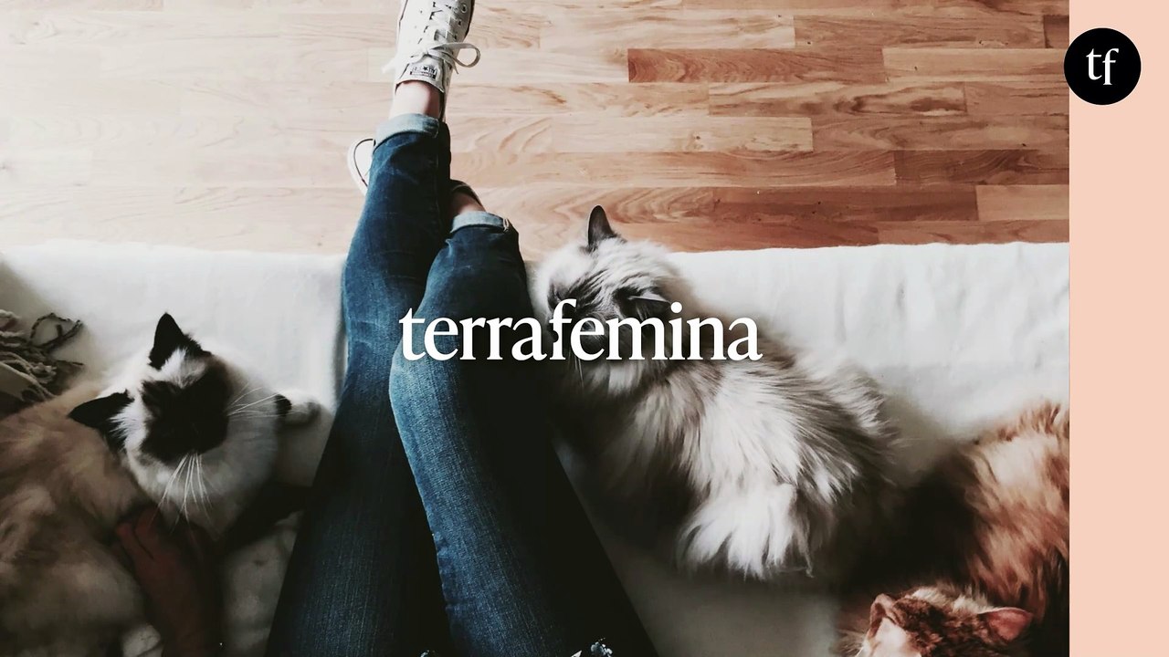 Les chats comprennent mieux le consentement que les mecs, démontre cette créatrice de contenus en images