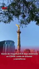⚠️🌎 Durante el sismo de magnitud 6.5 registrado en la Ciudad de México, se reportaron diversos destrozos en distintos puntos de la capital, principalmente caída de árboles y semáforos, generando afectaciones a la vialidad.