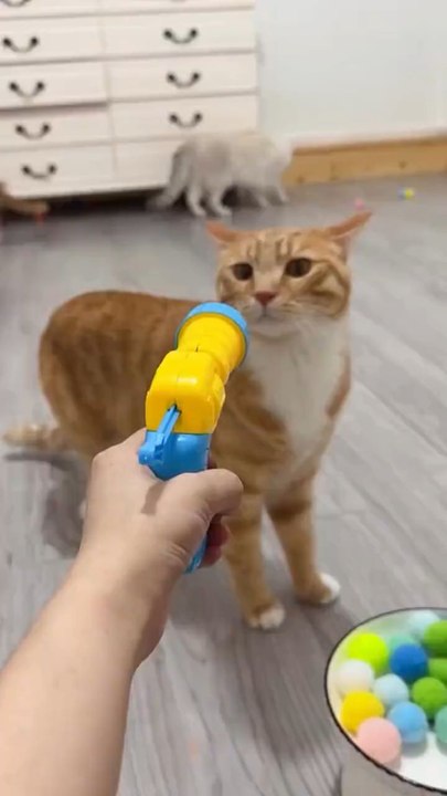 This toy = instant zoomies 🐾💥Launch it once… they’ll beg for more👉 Shop now on our website