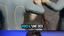 Les pires torture de l histoire partie 7
