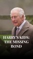Charles' relationship with Harry's kids 'weighs on' him
