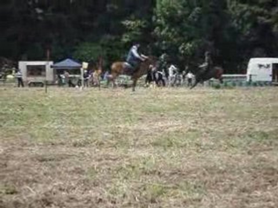 Pony-games 2