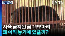 사육 금지된 곰 199마리, 왜 아직 농가에 있을까? / YTN