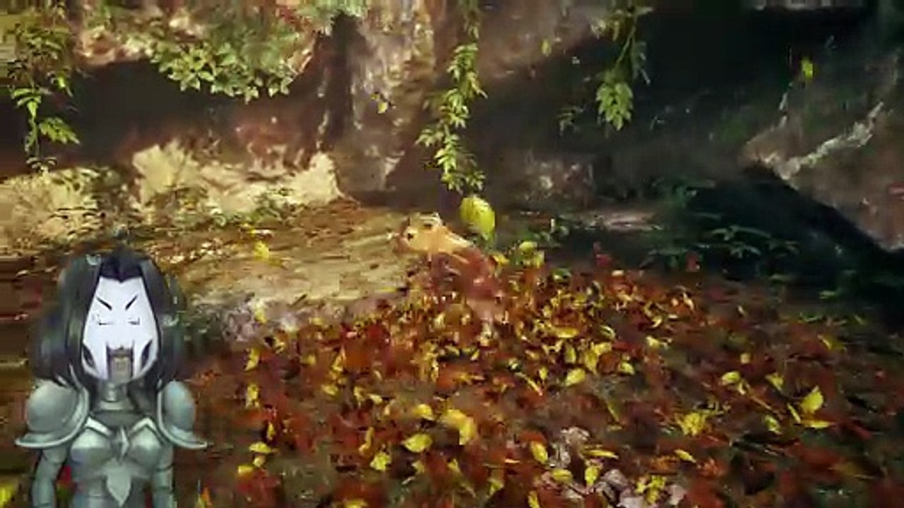 the adorable adventure