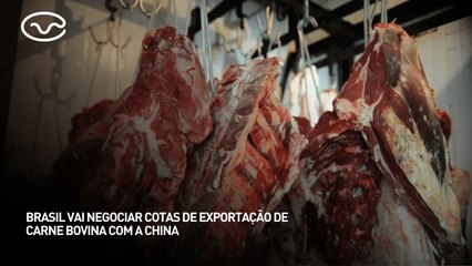 Brasil vai negociar cotas de exportação de carne bovina com a China