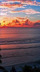 Miss You in the Light - Musique AMIS