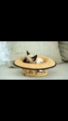 Waiting for the Beat - Musique AMIS