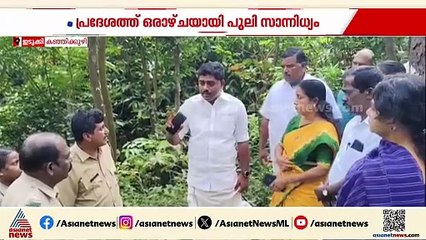 ഭീതി ഒഴിയുന്നില്ല... പുലിപ്പേടിയിൽ കഞ്ഞിക്കുഴി നിവാസികൾ, ക്യാമറ സ്ഥാപിച്ച് വനം വകുപ്പ്