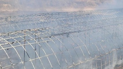 경북 예천 양계장에서 불...닭 11만 마리 폐사 / YTN