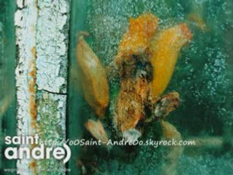 Le Jeu des dictionnaires - 28.02.08 - Saint André